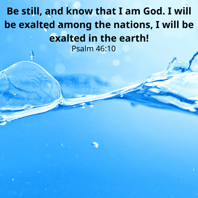 Be still, and know that I am God. I will be exalted among the nations, I will be exalted in the earth!