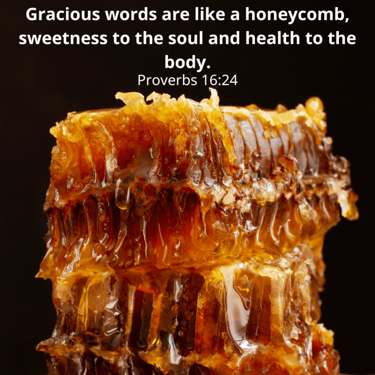 Gracious words are like a honeycomb, sweetness to the soul and health to the body.