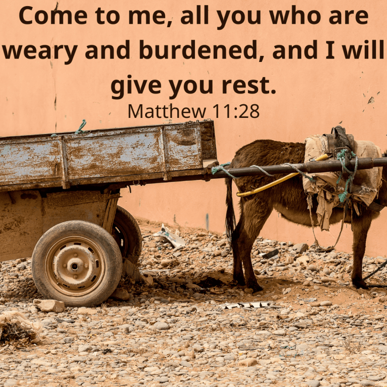 Come to me, all you who are weary and burdened, and I will give you rest.