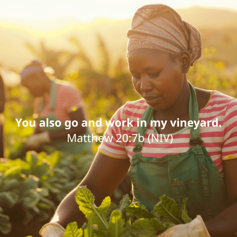 You also go and work in my vineyard. Matthew 207b (NIV)