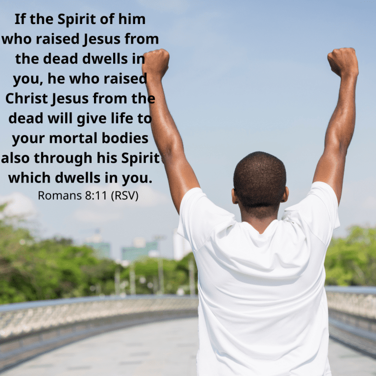 If the Spirit of him who raised Jesus from the dead dwells in you, he who raised Christ Jesus from the dead will give life to your mortal bodies also through his Spirit which dwells in you.-2